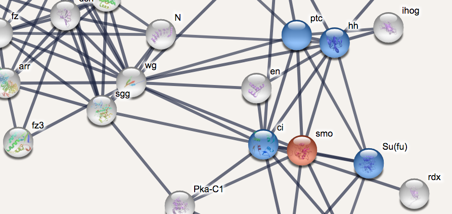 payload data visualisation