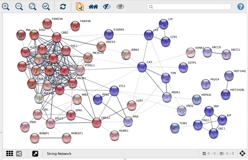 stringapp data visualisation