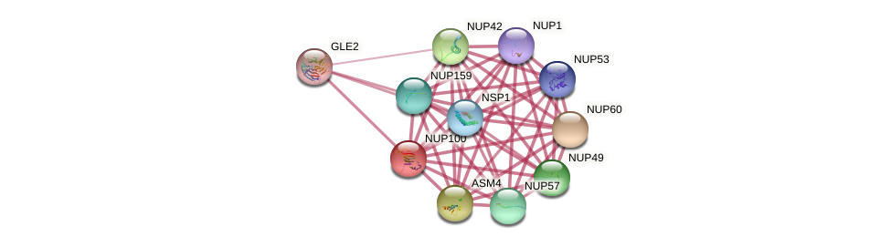 Nuclear pore complex