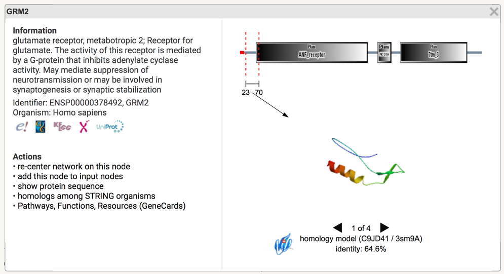 Protein window