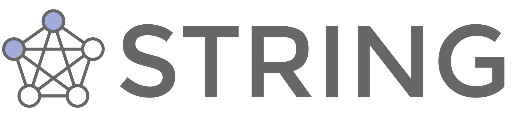 STRING logo